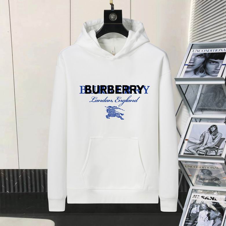 Burberry Hoodie Mens ID:20241022-149